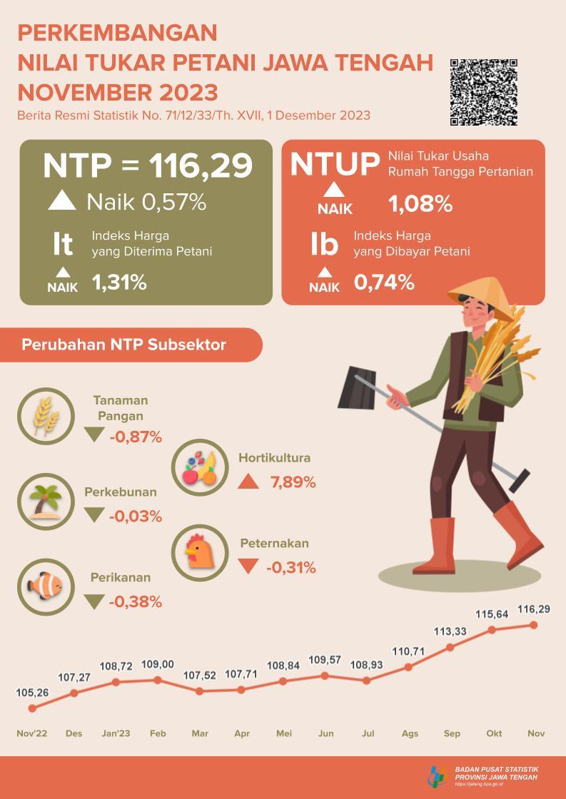 Perkembangan Nilai Tukar Petani, Harga Gabah dan Beras Rilis 1 Desember 2023